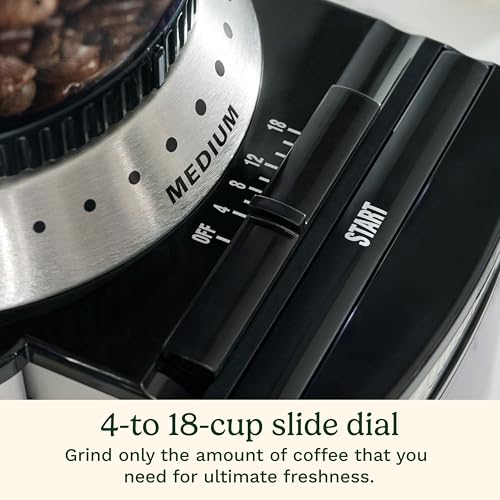 Best Coffee Grinder Under 100