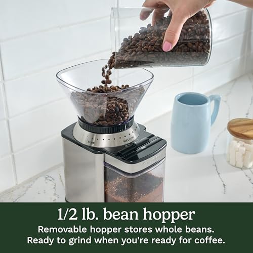 Best Coffee Grinder Burr