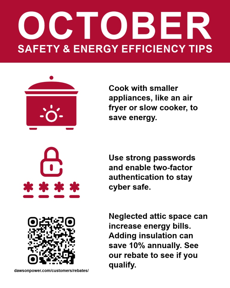 Air Fryer Energy Saving Tips
