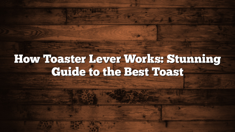 How Toaster Lever Works: Stunning Guide to the Best Toast