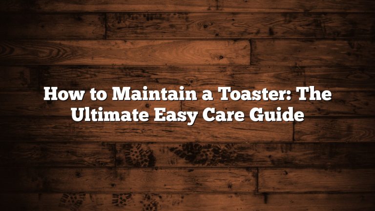 How to Maintain a Toaster: The Ultimate Easy Care Guide