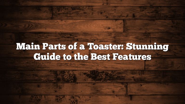 Main Parts of a Toaster: Stunning Guide to the Best Features