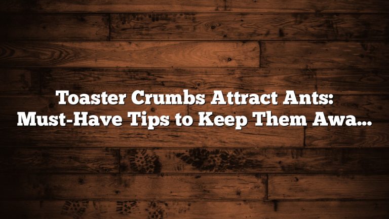 Toaster Crumbs Attract Ants: Must-Have Tips to Keep Them Away