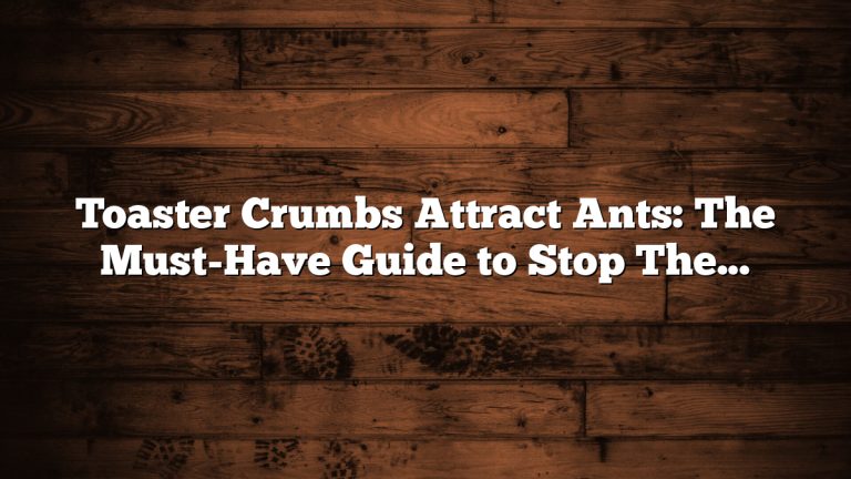 Toaster Crumbs Attract Ants: The Must-Have Guide to Stop Them Effortlessly
