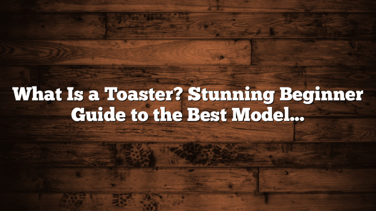 What Is a Toaster? Stunning Beginner Guide to the Best Models