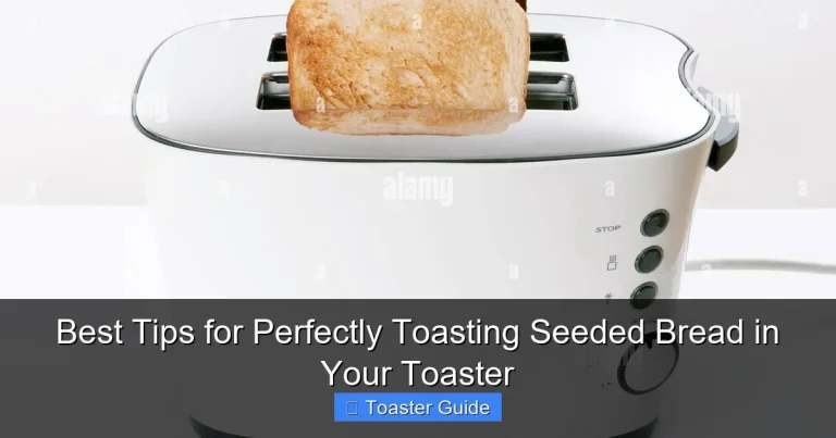 Best Tips for Perfectly Toasting Seeded Bread in Your Toaster