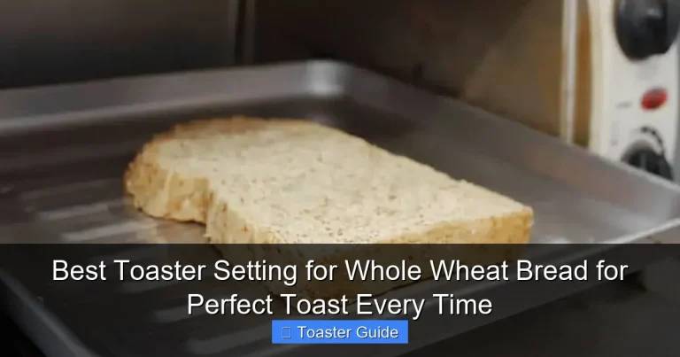 Best Toaster Setting for Whole Wheat Bread for Perfect Toast Every Time