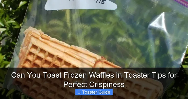 Can You Toast Frozen Waffles in Toaster Tips for Perfect Crispiness