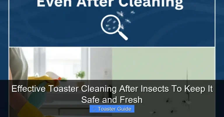 Effective Toaster Cleaning After Insects To Keep It Safe and Fresh
