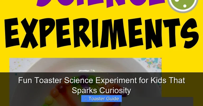 Fun Toaster Science Experiment for Kids That Sparks Curiosity