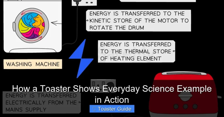 How a Toaster Shows Everyday Science Example in Action