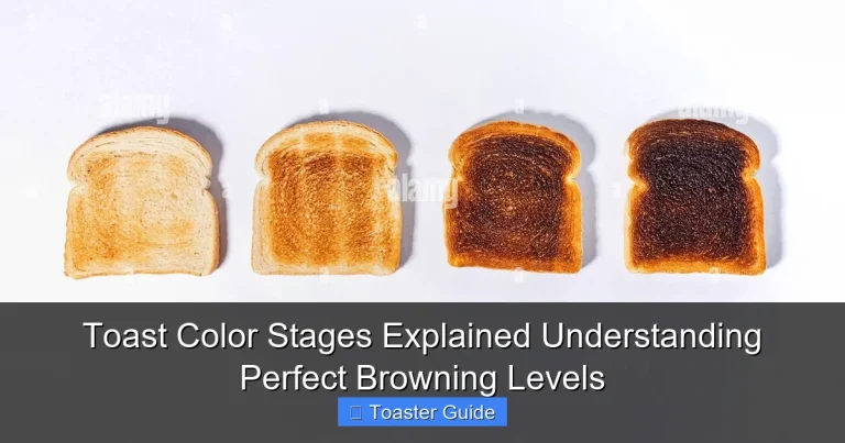 Toast Color Stages Explained Understanding Perfect Browning Levels