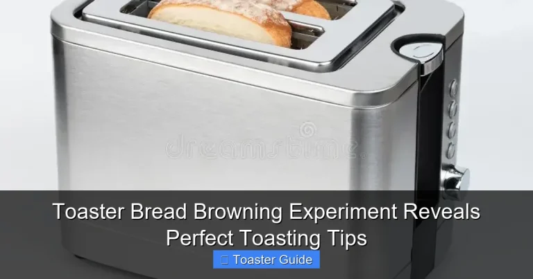 Toaster Bread Browning Experiment Reveals Perfect Toasting Tips
