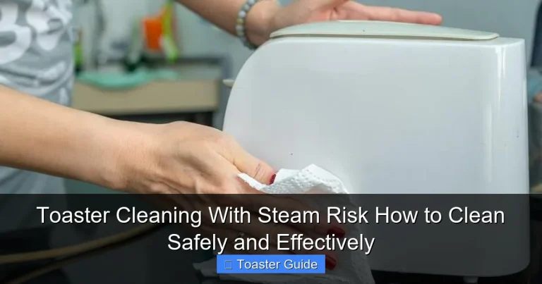 Toaster Cleaning With Steam Risk How to Clean Safely and Effectively