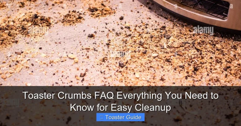 Toaster Crumbs FAQ Everything You Need to Know for Easy Cleanup