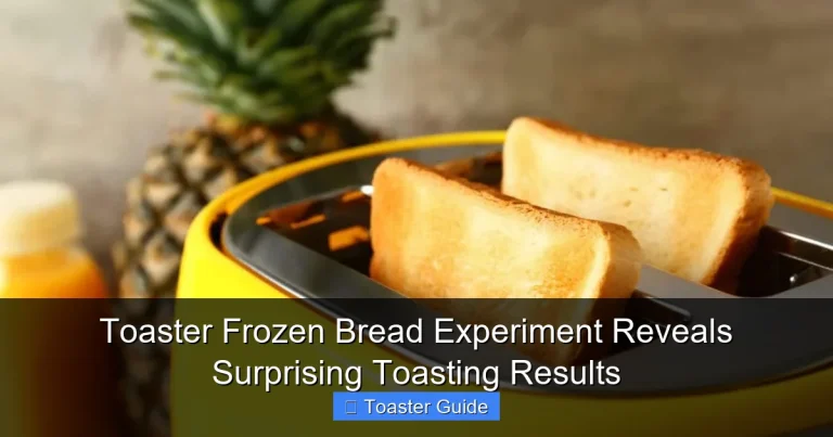 Toaster Frozen Bread Experiment Reveals Surprising Toasting Results