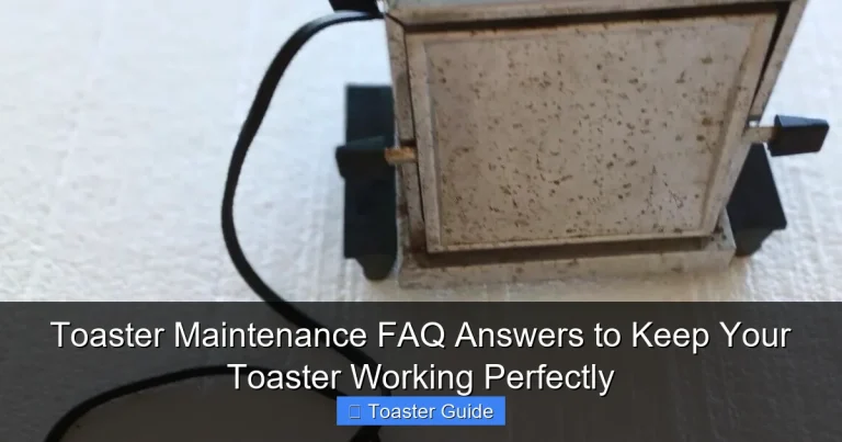 Toaster Maintenance FAQ Answers to Keep Your Toaster Working Perfectly