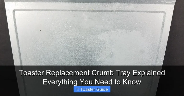 Toaster Replacement Crumb Tray Explained Everything You Need to Know