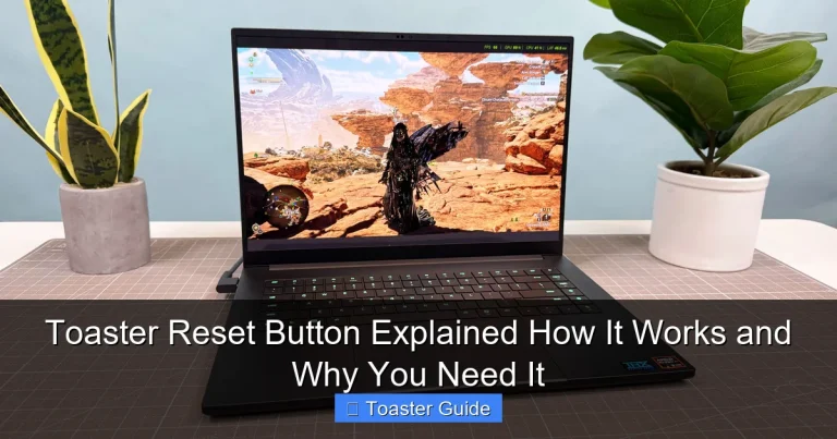 Toaster Reset Button Explained How It Works and Why You Need It
