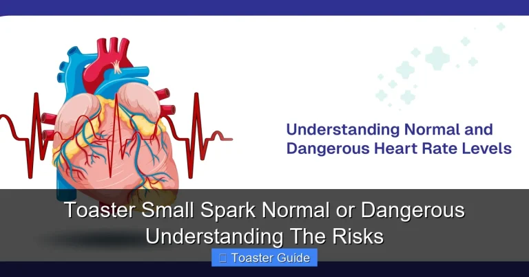 Toaster Small Spark Normal or Dangerous Understanding The Risks