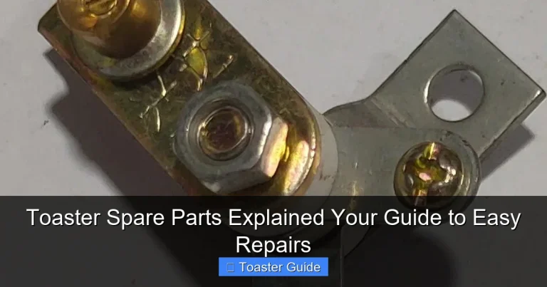 Toaster Spare Parts Explained Your Guide to Easy Repairs