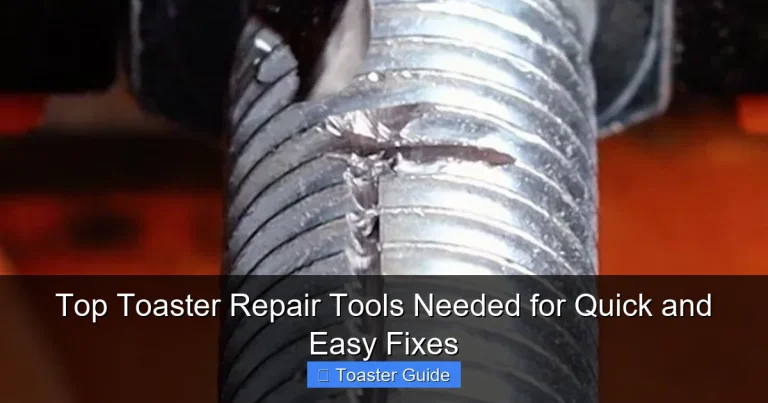Top Toaster Repair Tools Needed for Quick and Easy Fixes