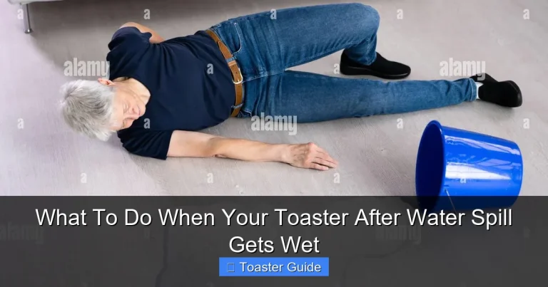 What To Do When Your Toaster After Water Spill Gets Wet