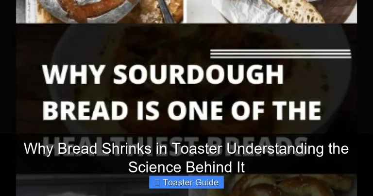Why Bread Shrinks in Toaster Understanding the Science Behind It