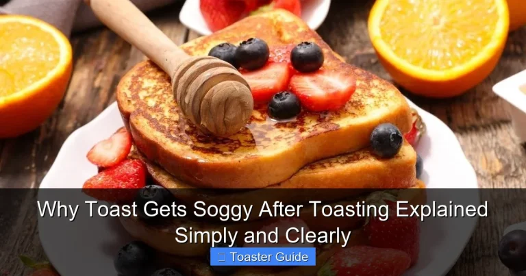 Why Toast Gets Soggy After Toasting Explained Simply and Clearly