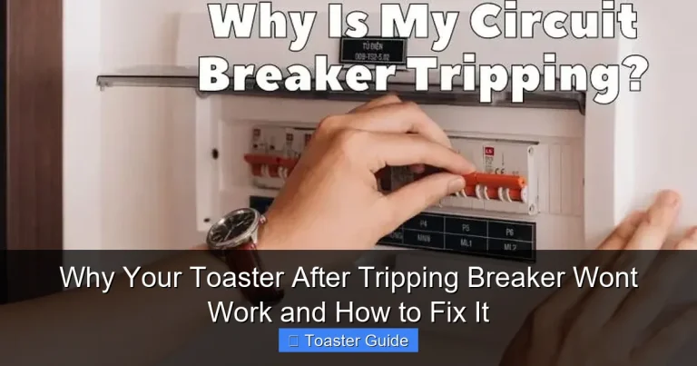 Why Your Toaster After Tripping Breaker Wont Work and How to Fix It