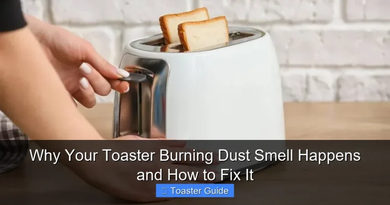 Why Your Toaster Burning Dust Smell Happens and How to Fix It