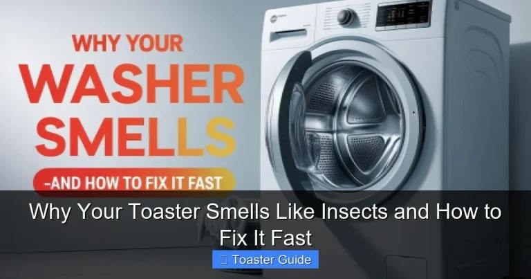 Why Your Toaster Smells Like Insects and How to Fix It Fast