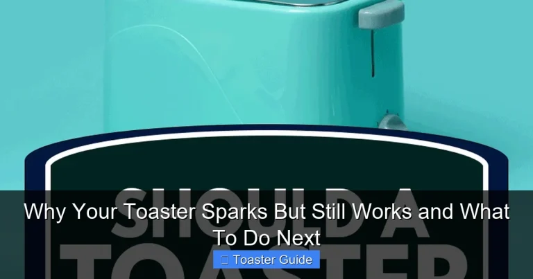 Why Your Toaster Sparks But Still Works and What To Do Next