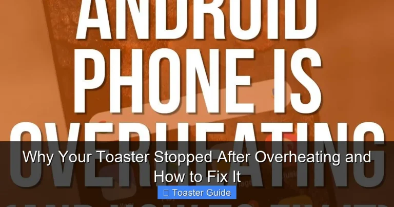 Why Your Toaster Stopped After Overheating and How to Fix It