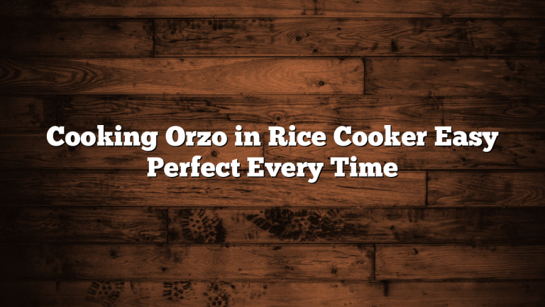Cooking Orzo in Rice Cooker Easy Perfect Every Time