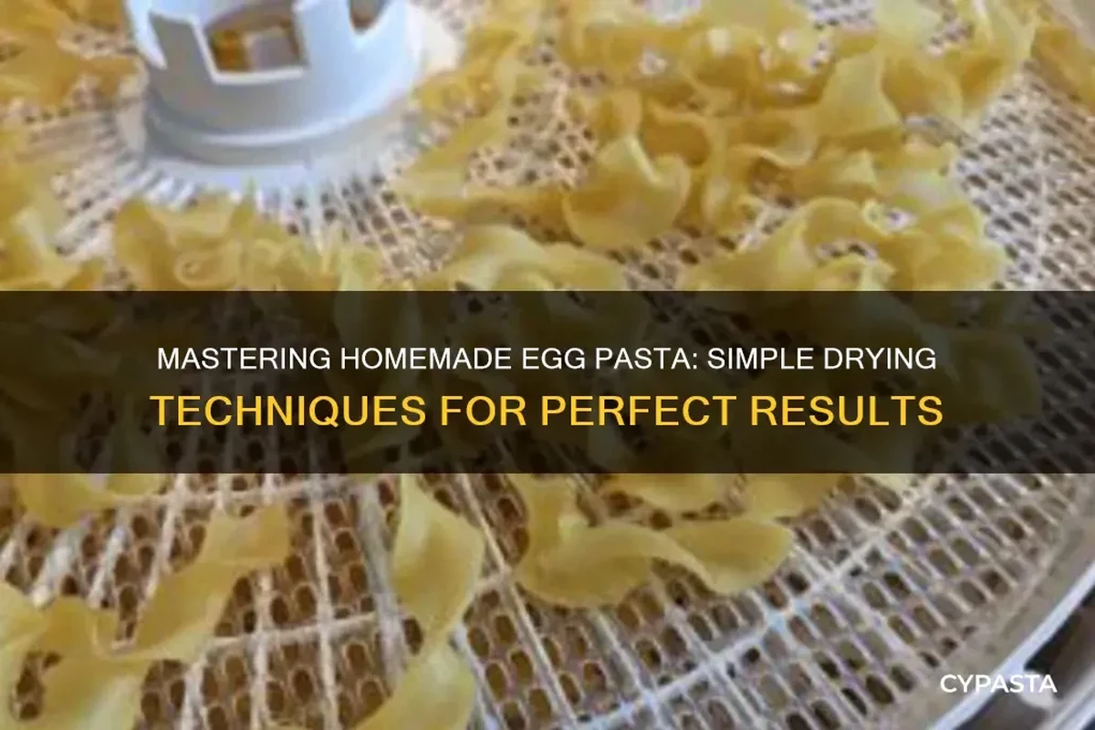 Homemade pasta strands drying on a rack in a clean home kitchen