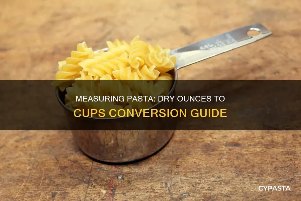 Dry pasta cups and a kitchen scale on a countertop for portion measuring
