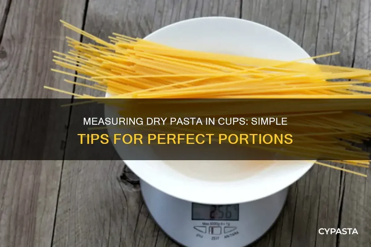 Dry pasta cups and a kitchen scale on a countertop for portion measuring