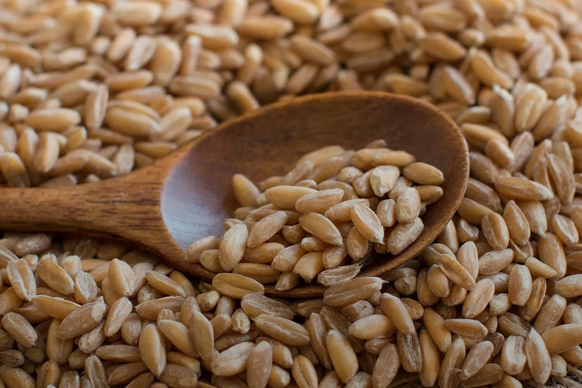 Bowl of cooked pasta with wheat stalks and whole grain ingredients in a kitchen setting