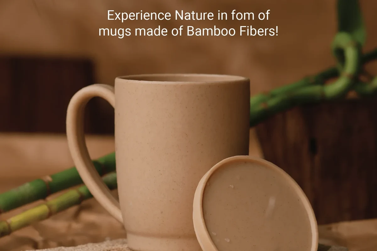 Coffee mugs sorted for reuse, donation, and recycling on a kitchen counter