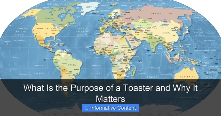 What Is the Purpose of a Toaster and Why It Matters