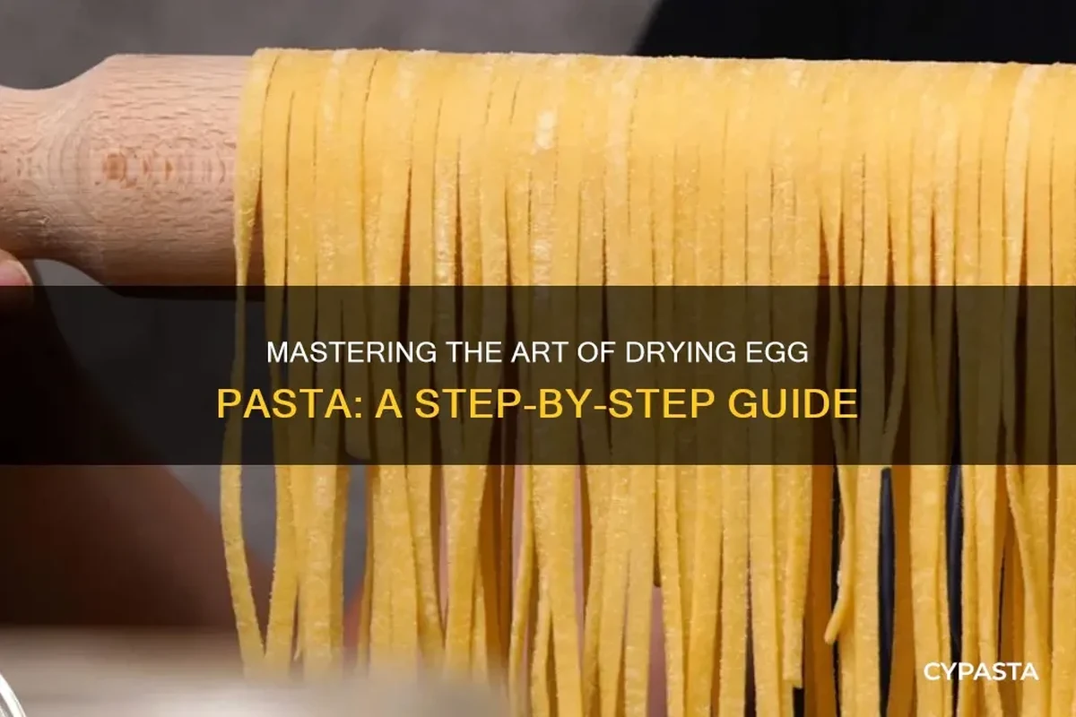 Fresh egg pasta drying on a rack in a clean home kitchen